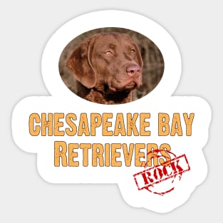 Chesapeake Bay Retrievers Rock! Sticker